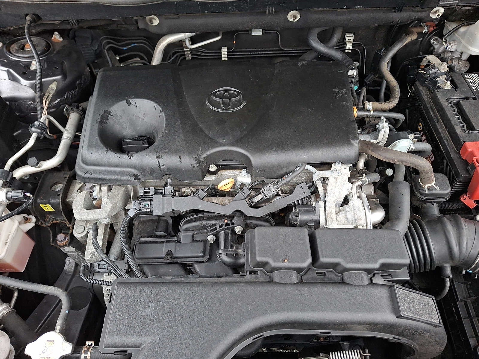 2020 Toyota RAV4 XLE FWD