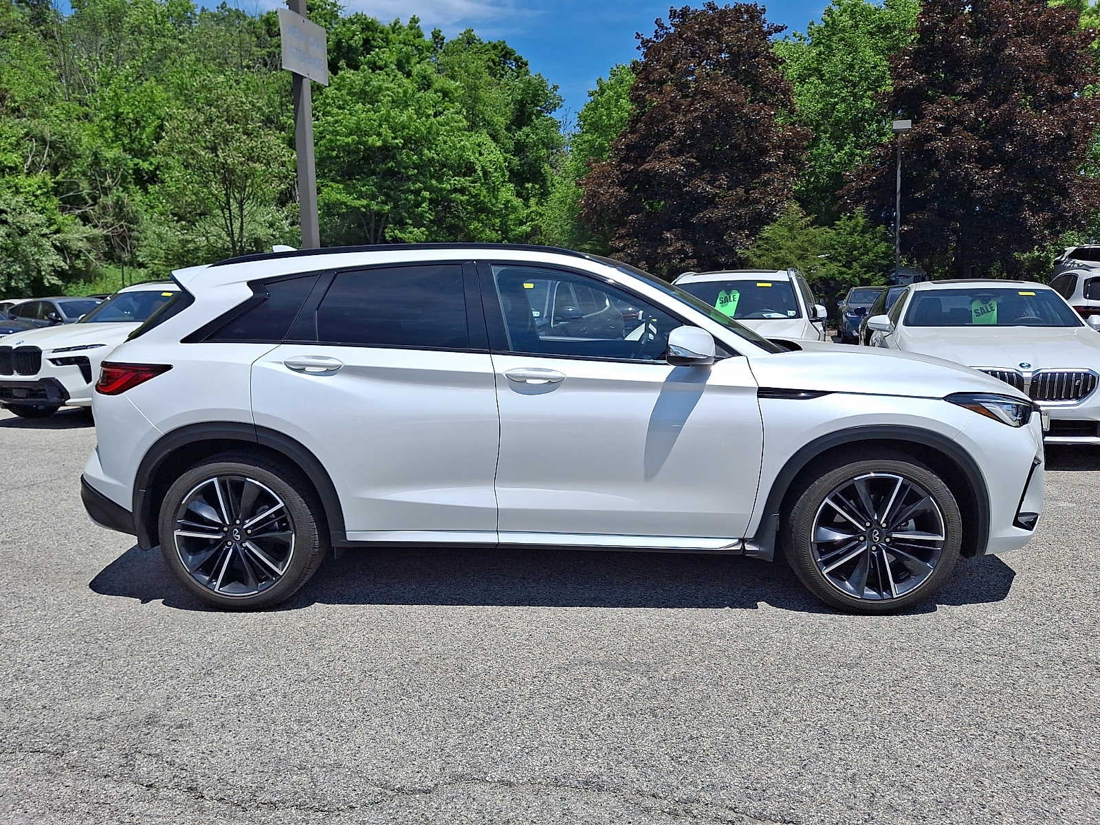 2023 INFINITI QX50 SPORT AWD