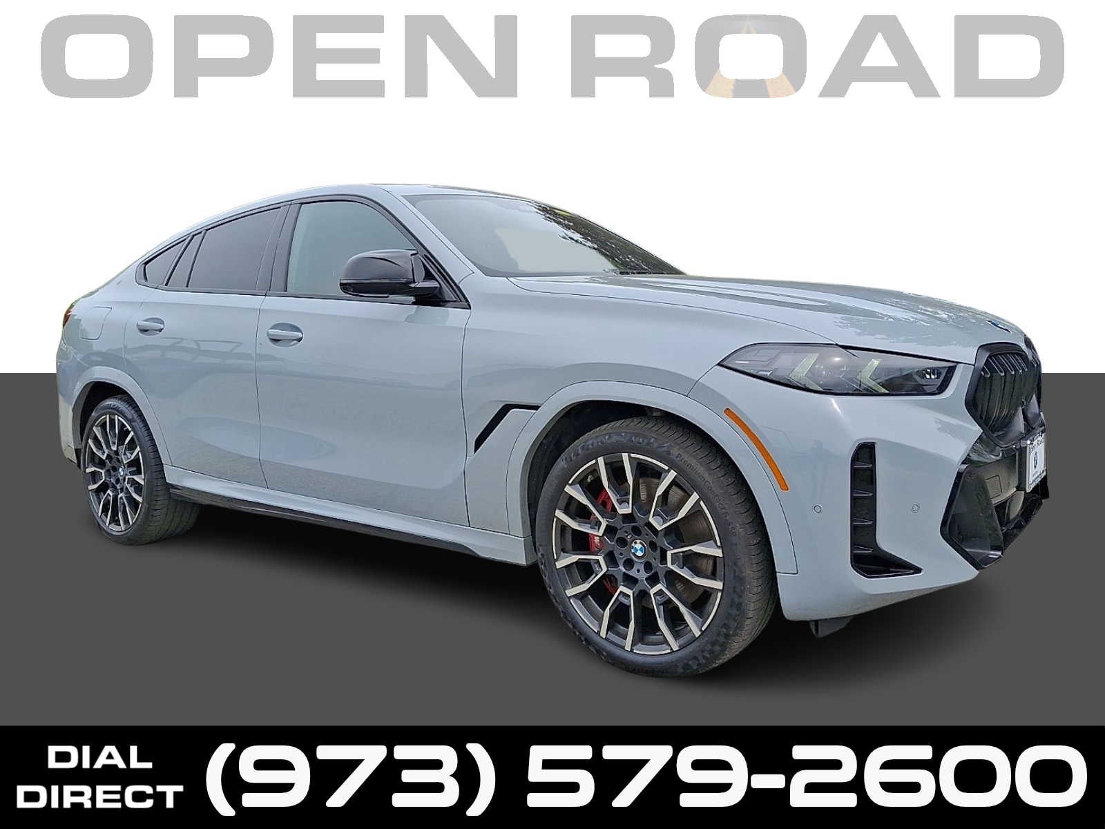 2024 BMW X6