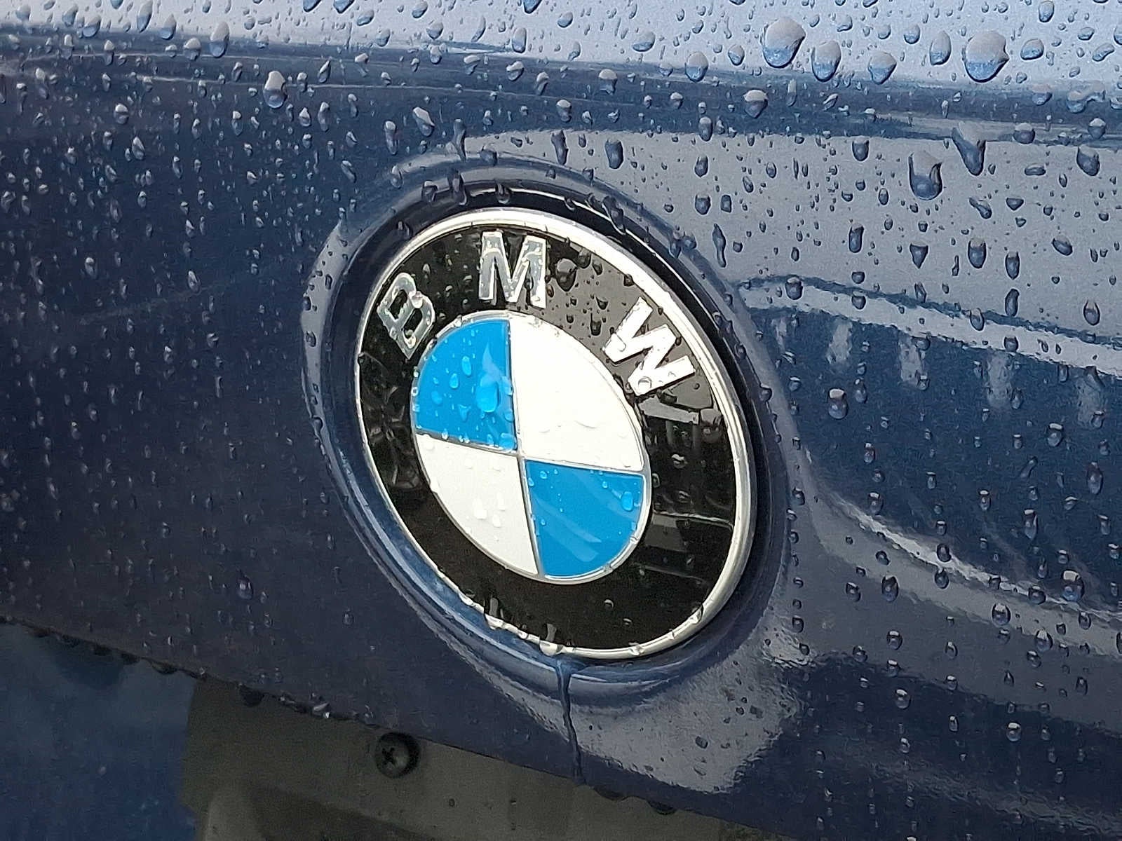 2023 BMW X5 xDrive40i Sports Activity Vehicle