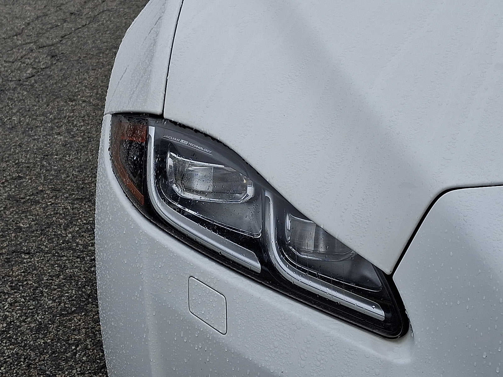 2019 Jaguar XJ XJL Portfolio AWD