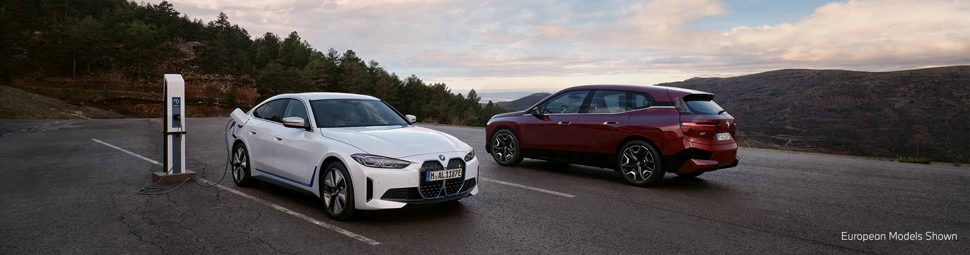 iXi4 BMW of Newton in Newton NJ